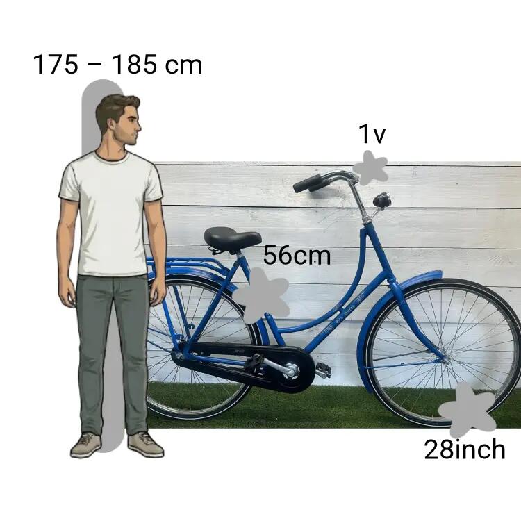 Bicicletta usata Batavus Old Dutch 2/4