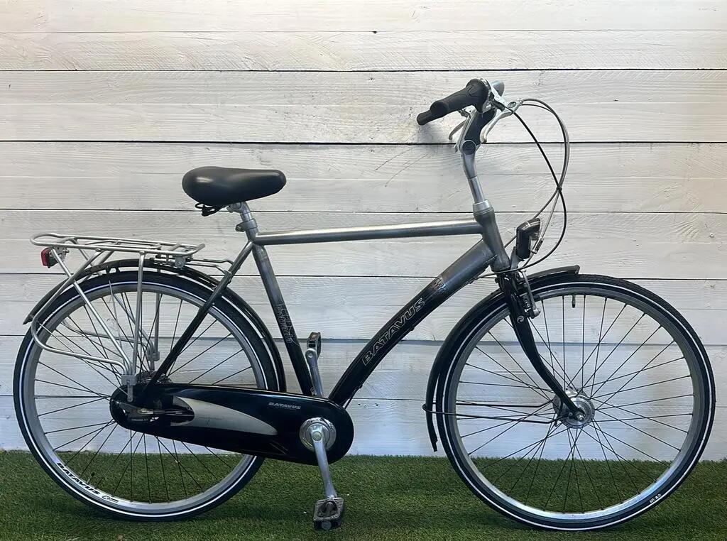 BATAVUS picture
