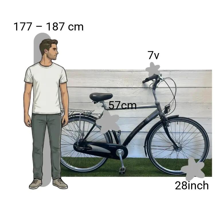 Bicicletta usata Batavus Entrada 2/4