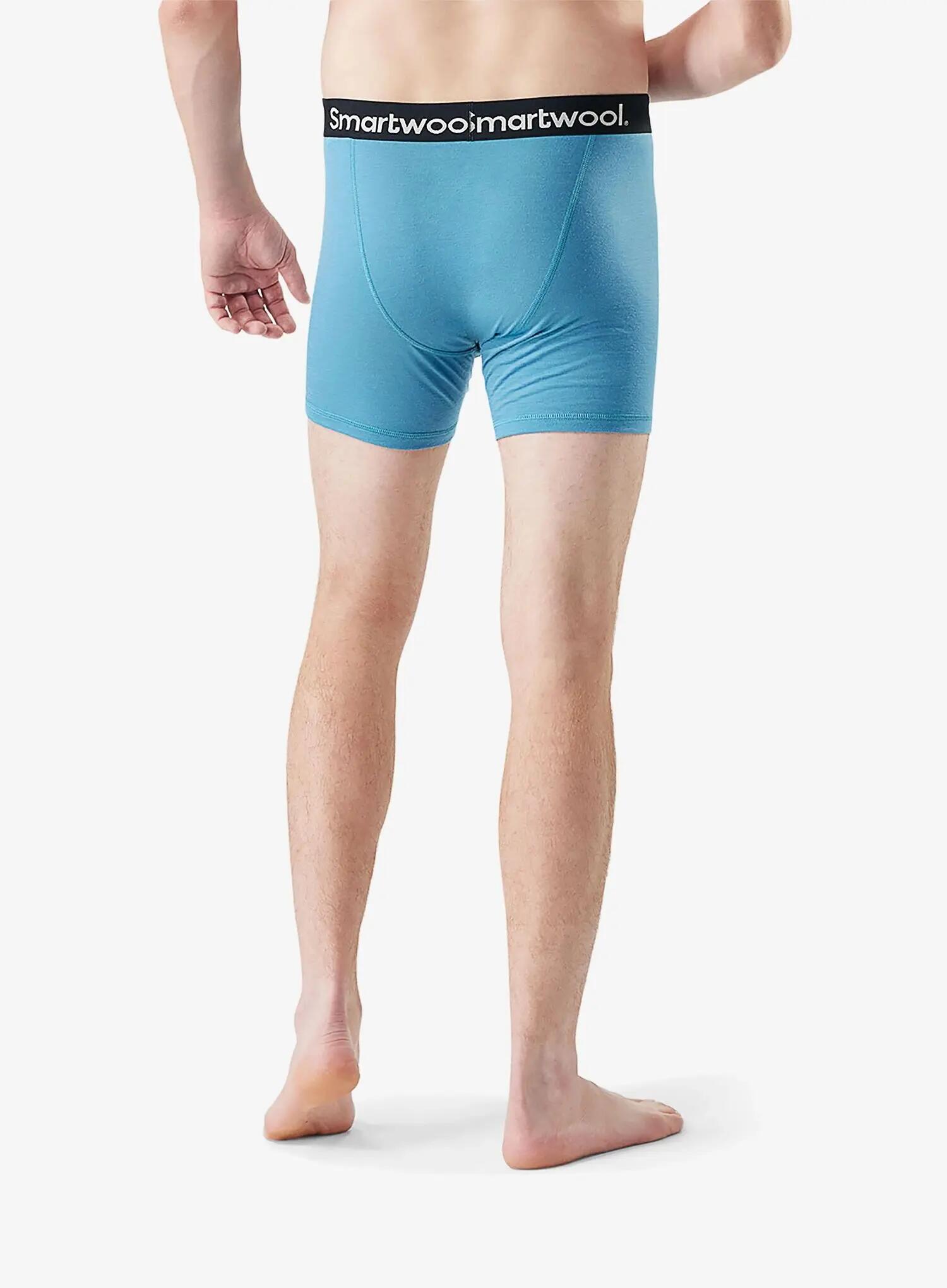 Bokserki termoaktywne Smartwool Merino Boxer Brief Boxed 2/2