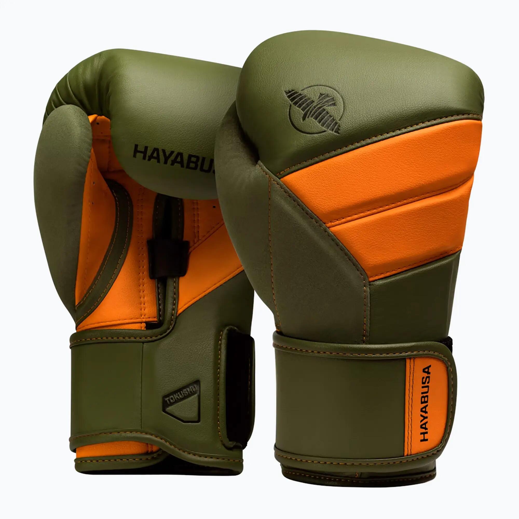 HAYABUSA picture