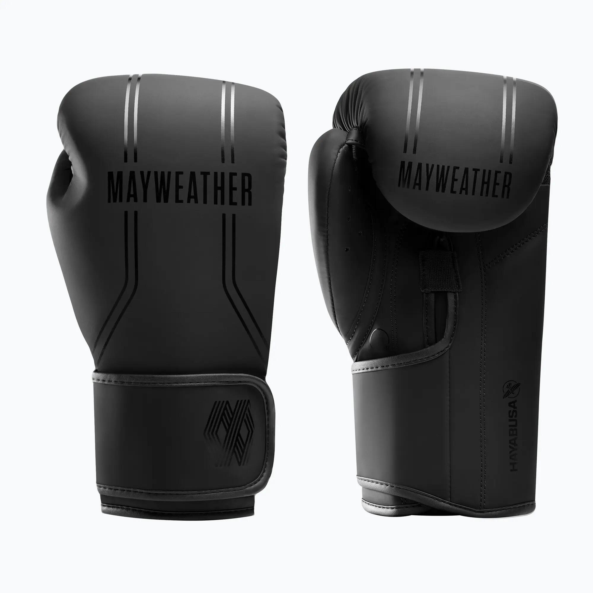 HAYABUSA picture