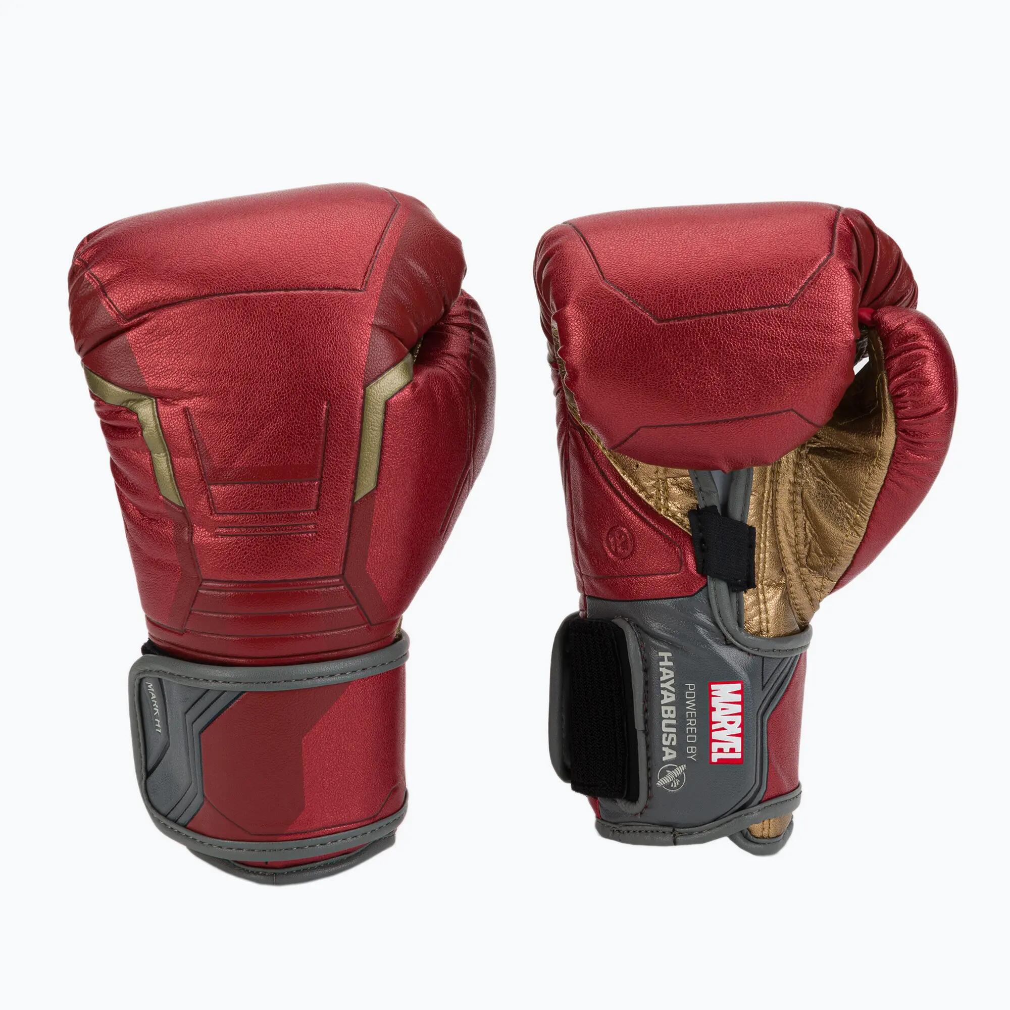 HAYABUSA picture