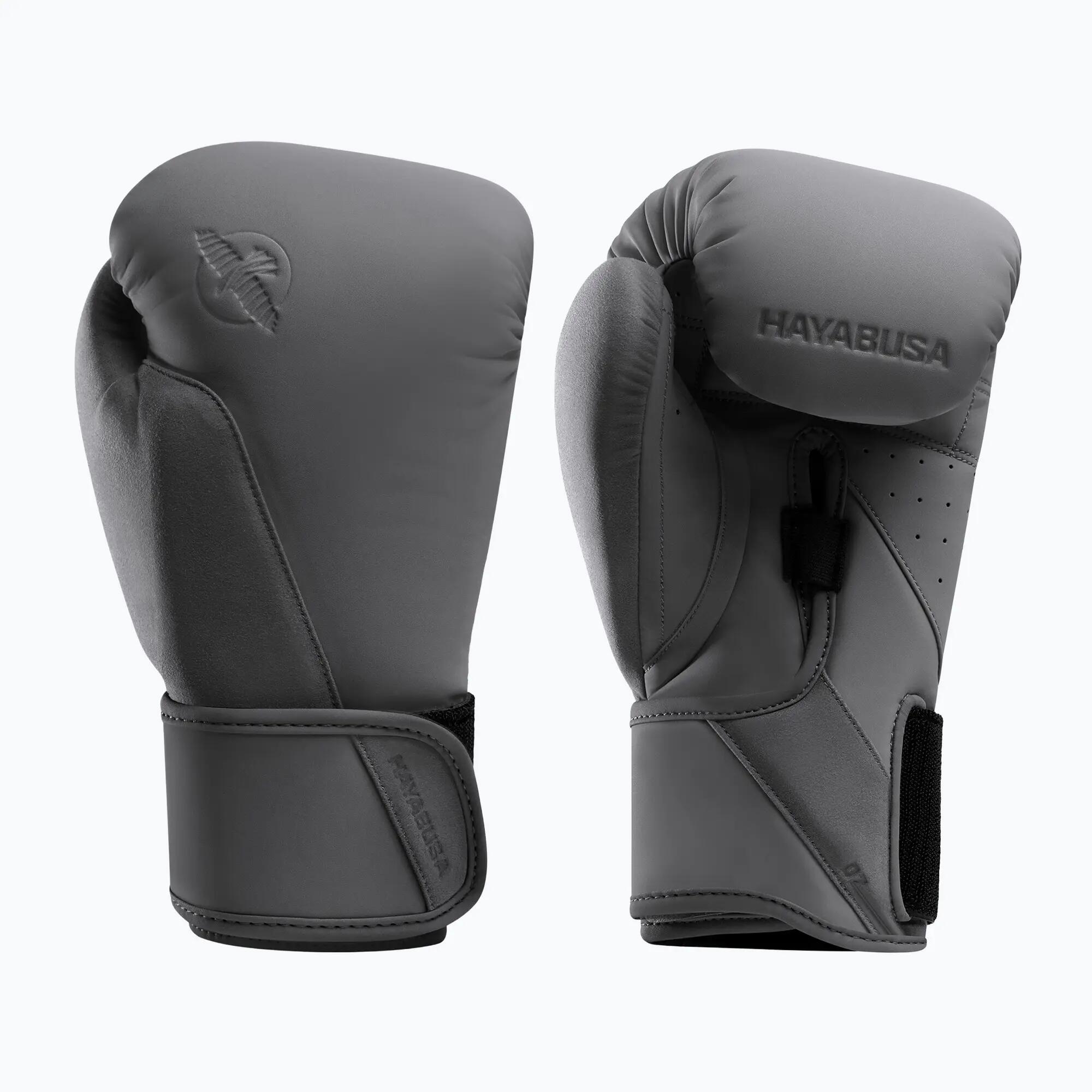 HAYABUSA picture