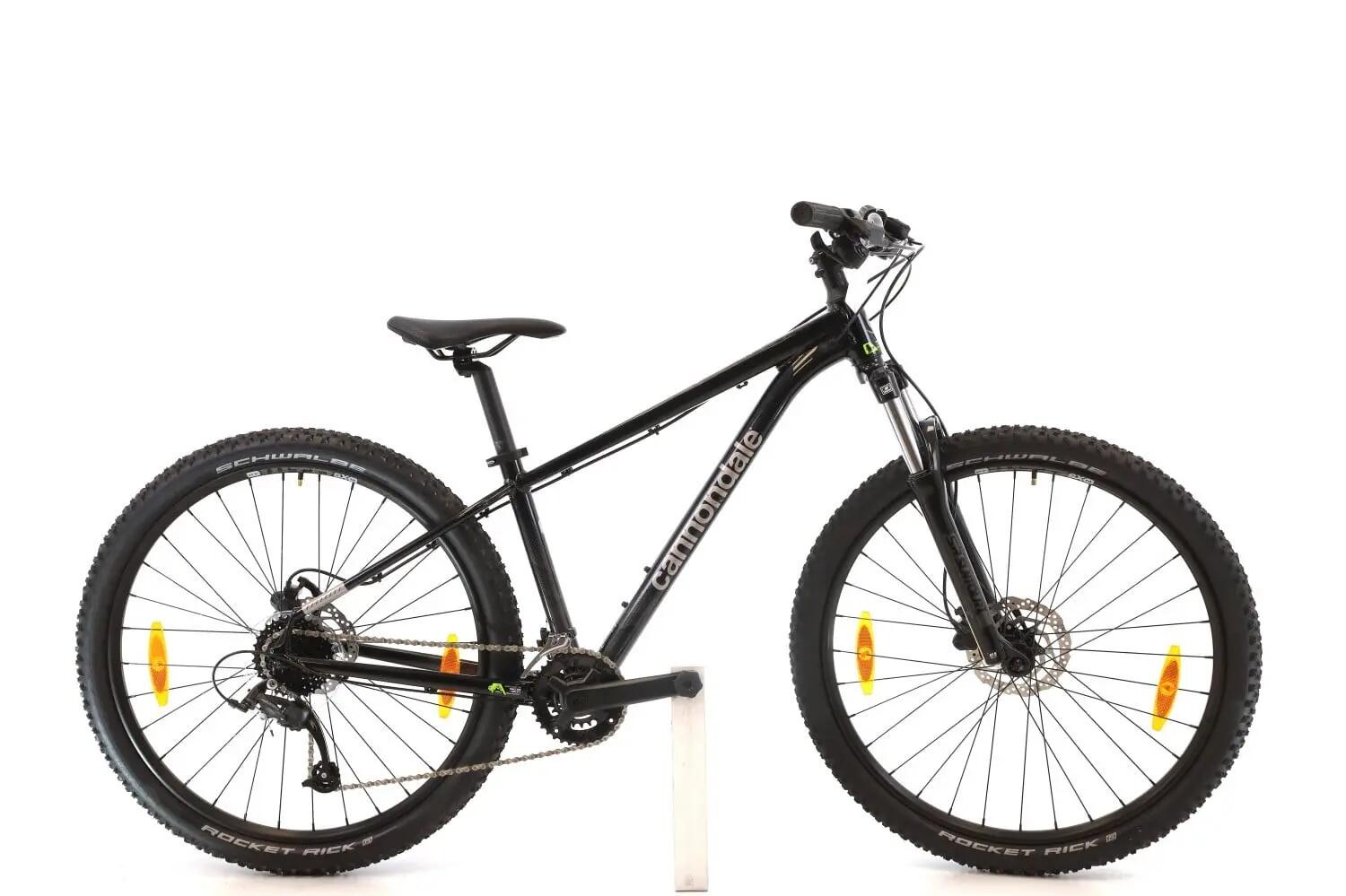 CANNONDALE picture