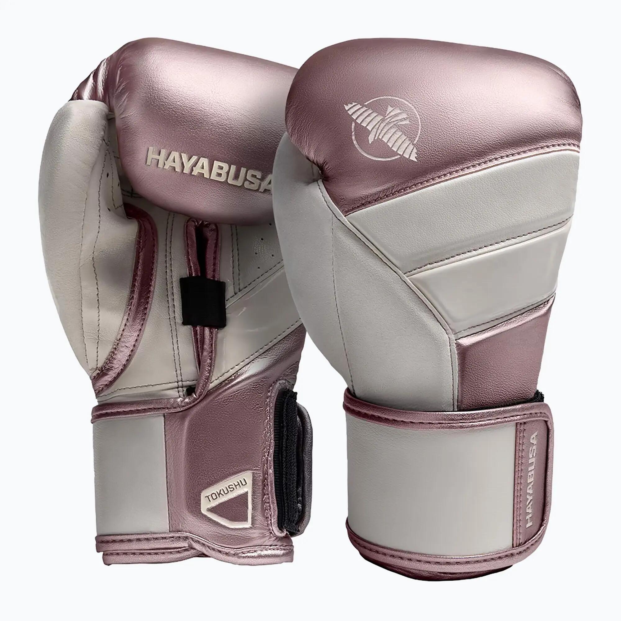 HAYABUSA picture