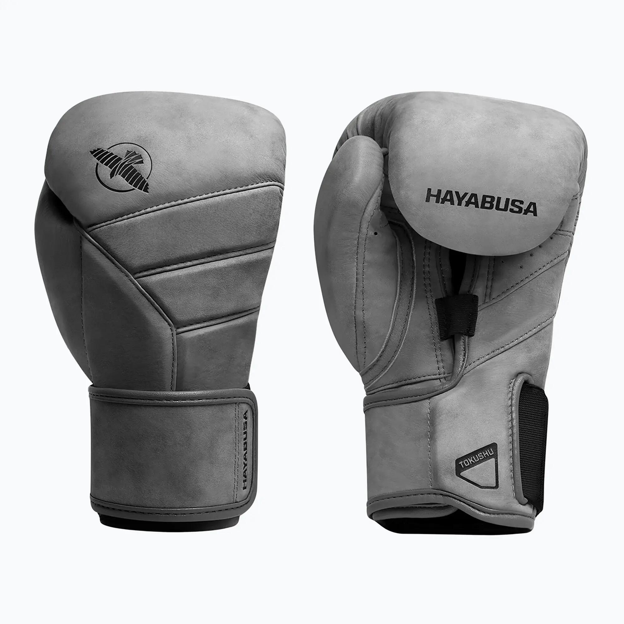 HAYABUSA picture
