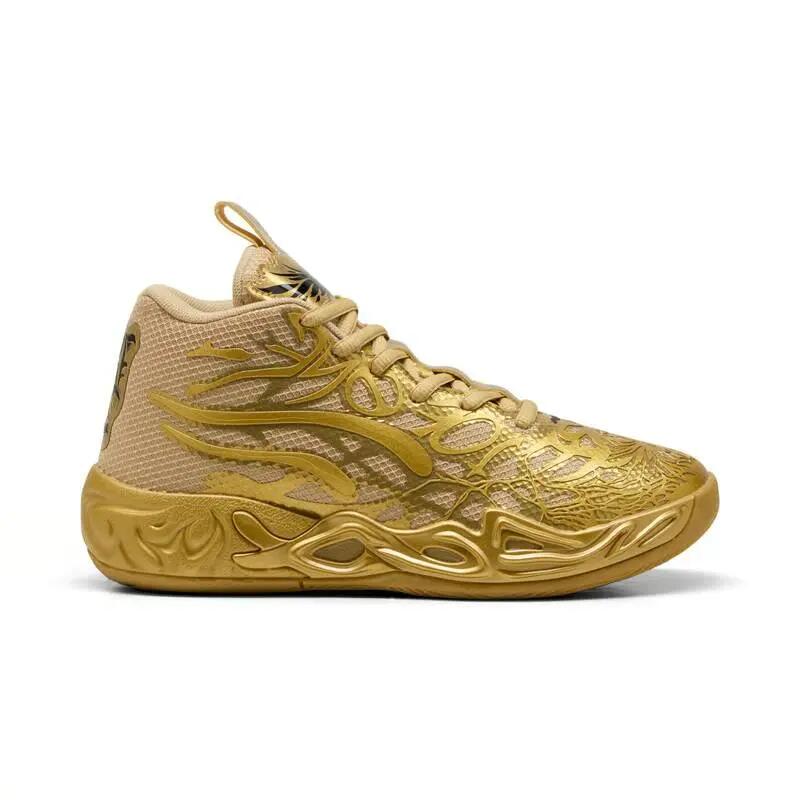 PUMA picture