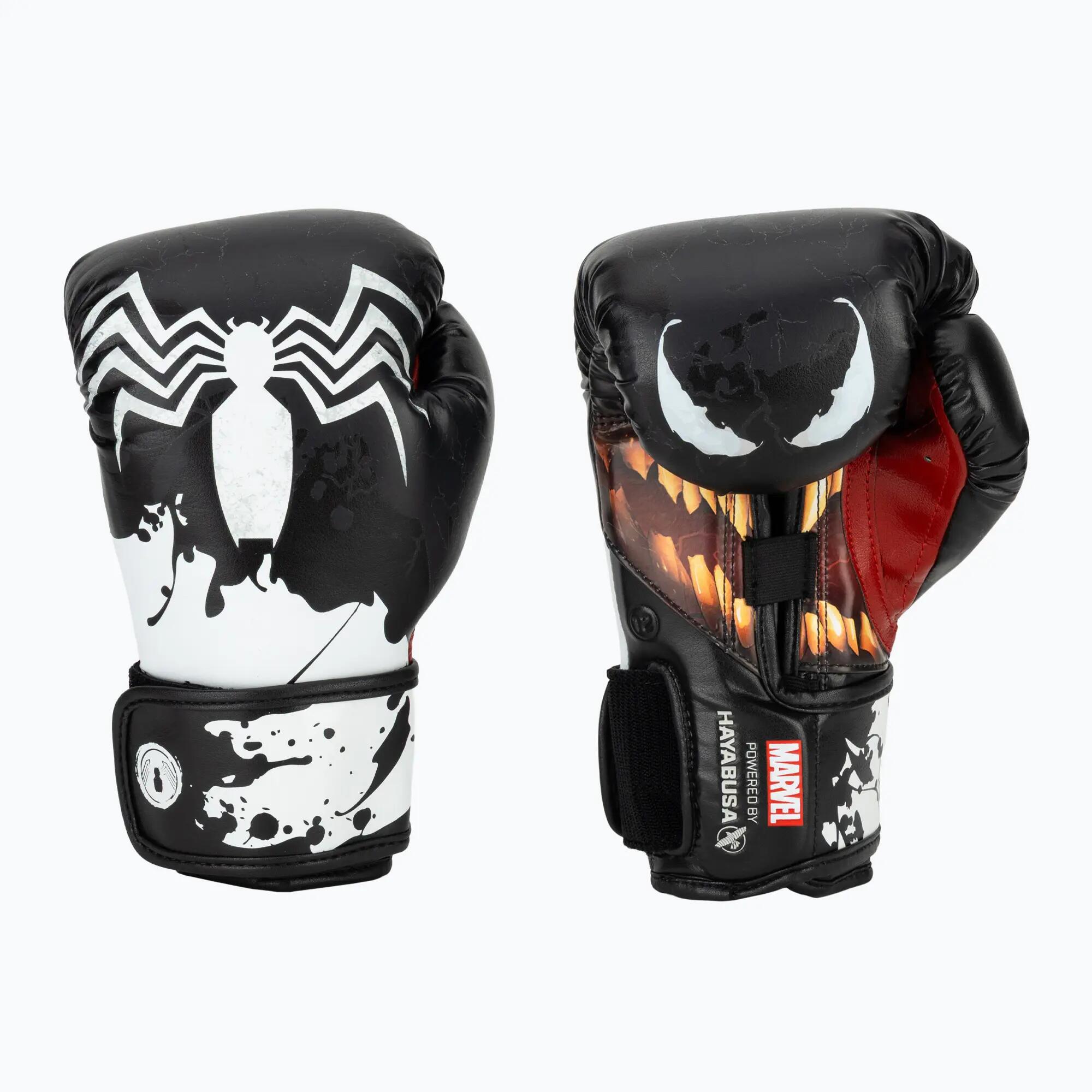 HAYABUSA picture