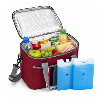 Sac Isotherme 25x18x20cm - M - Avec 2 Accumulateurs de Froid