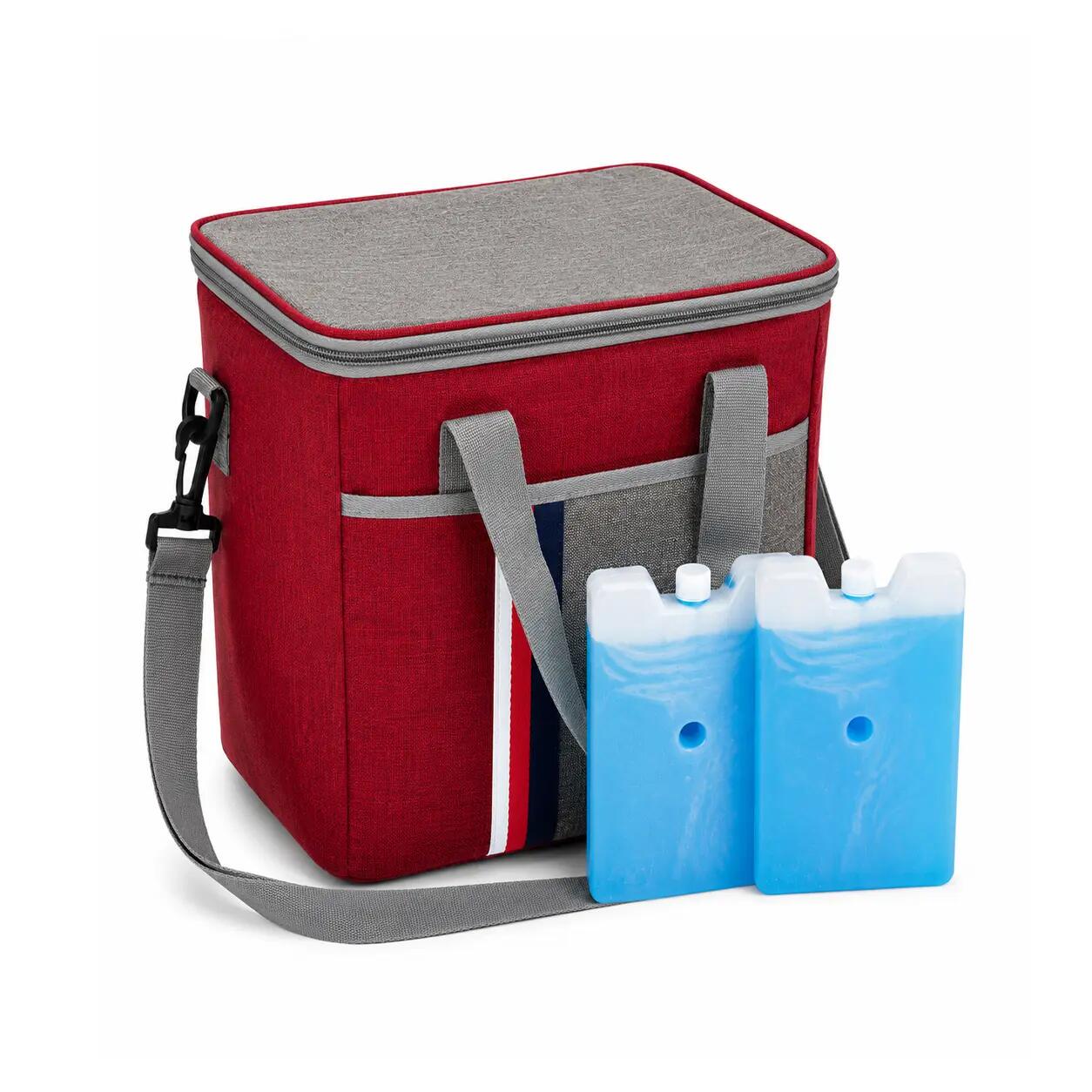 Bolsa Nevera 31x20x27cm - Bolsa Térmica L - Incluye 2 Acumuladores de Frío 2/6