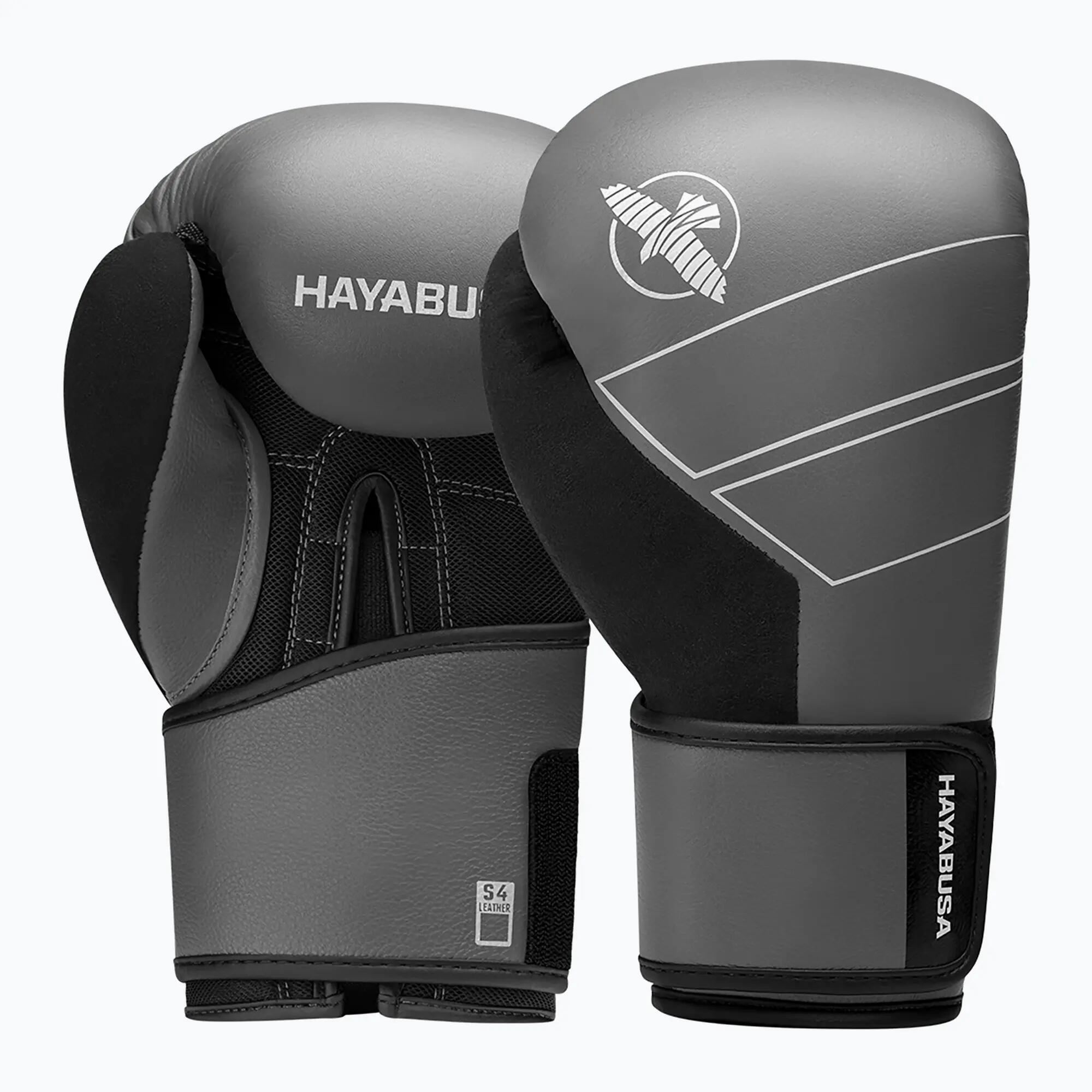 HAYABUSA picture
