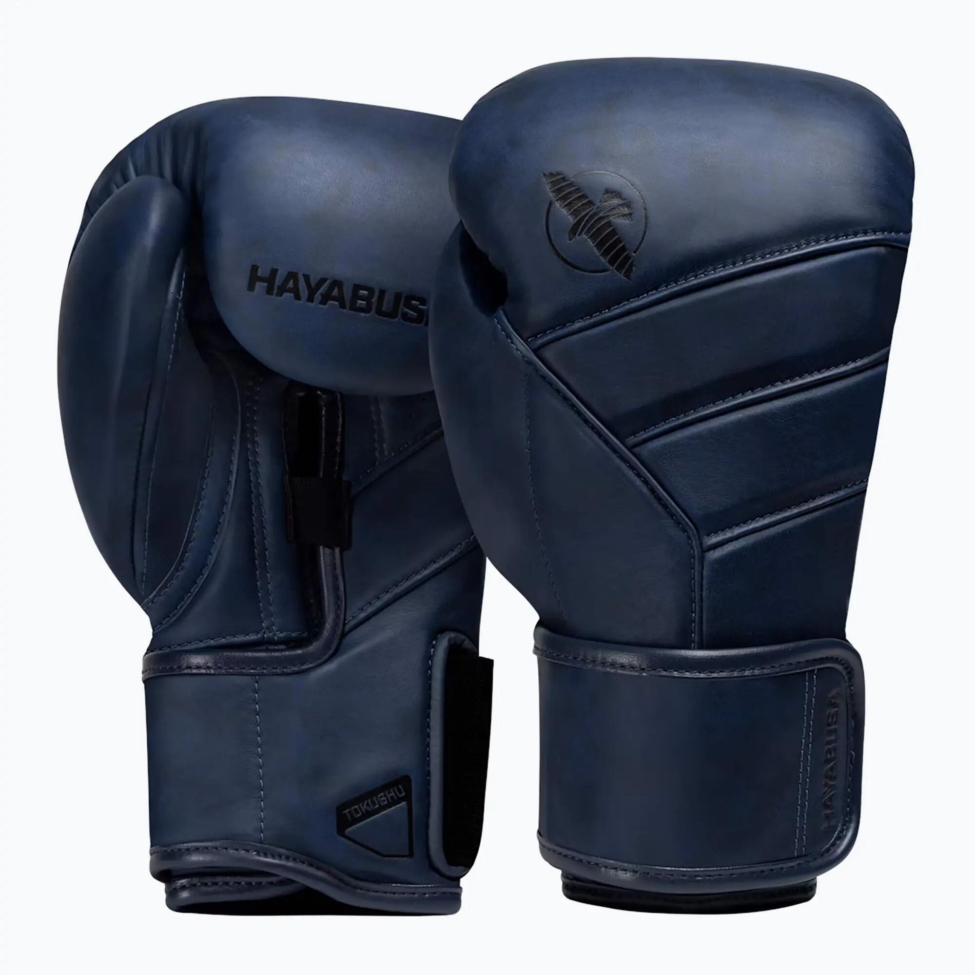 HAYABUSA picture