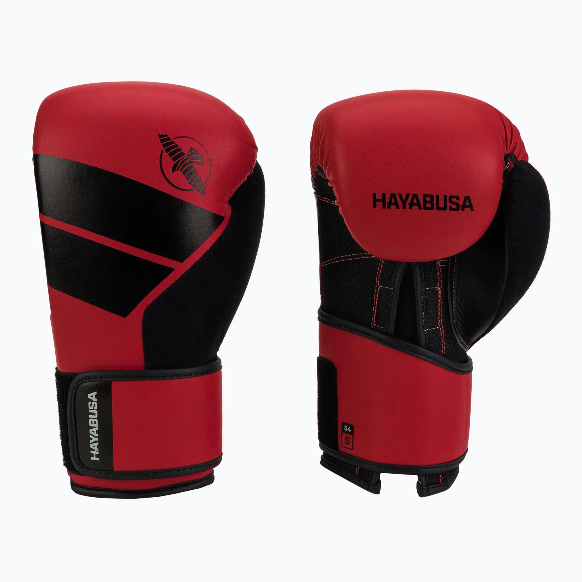 HAYABUSA picture