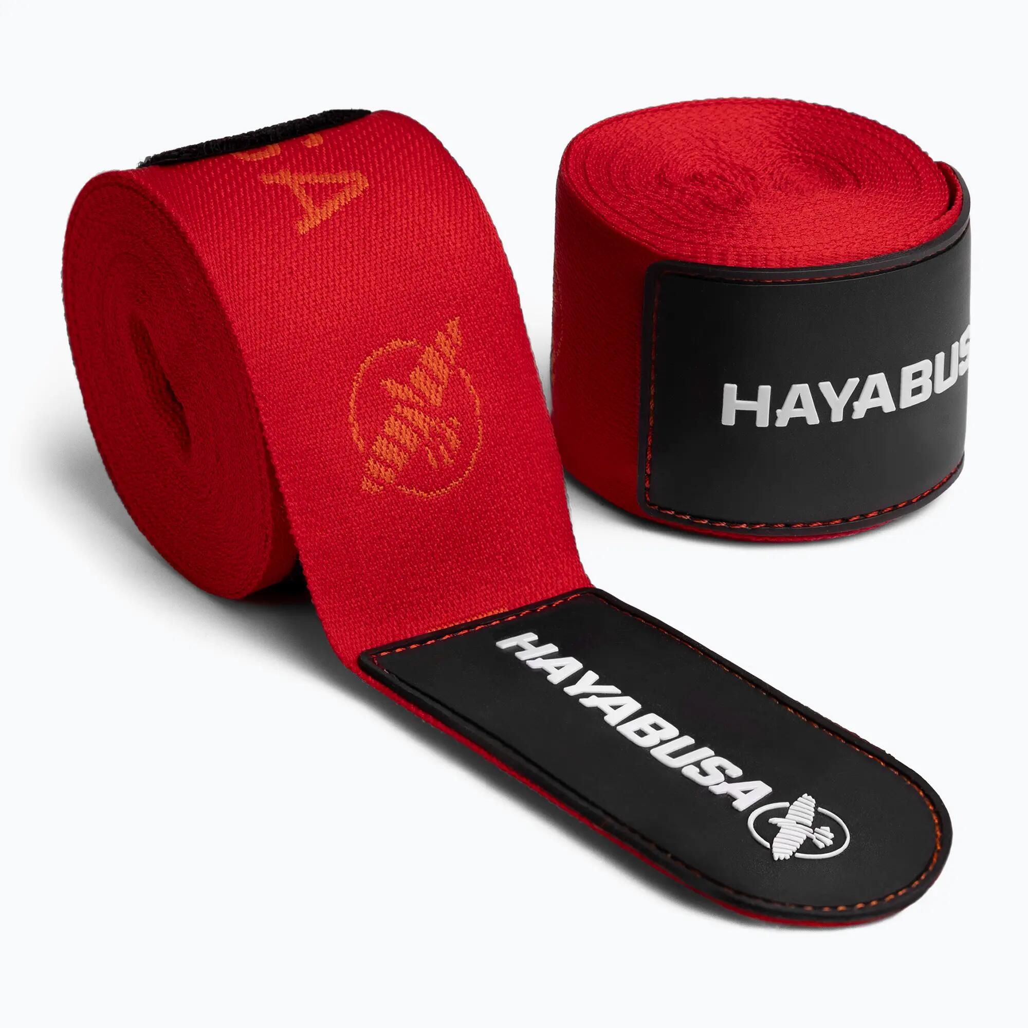 HAYABUSA picture
