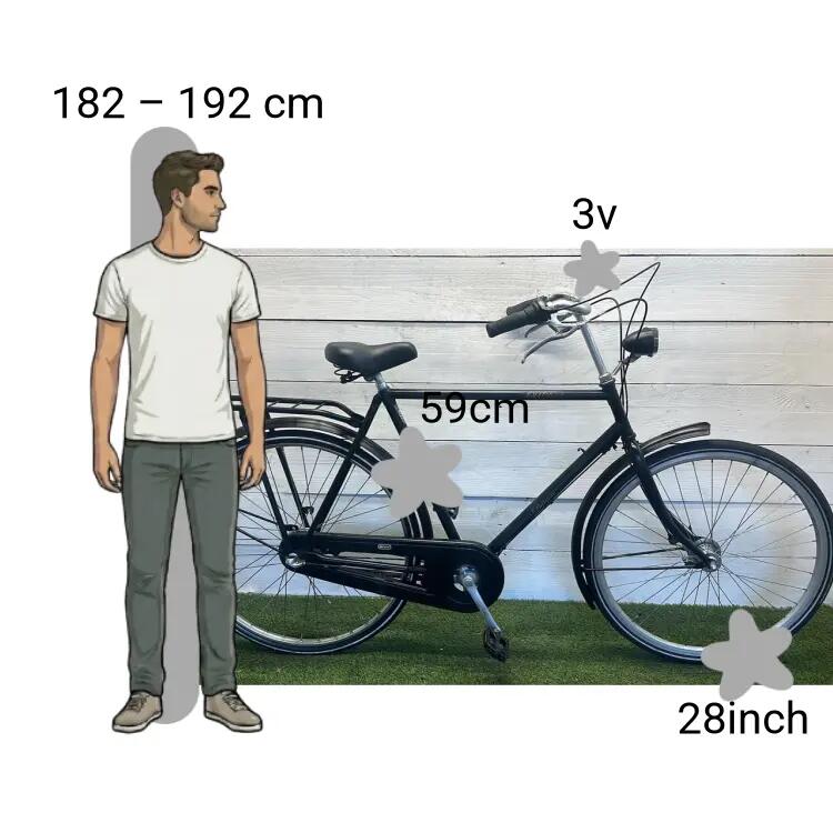 Bicicleta usada Batavus Old Dutch 2/4