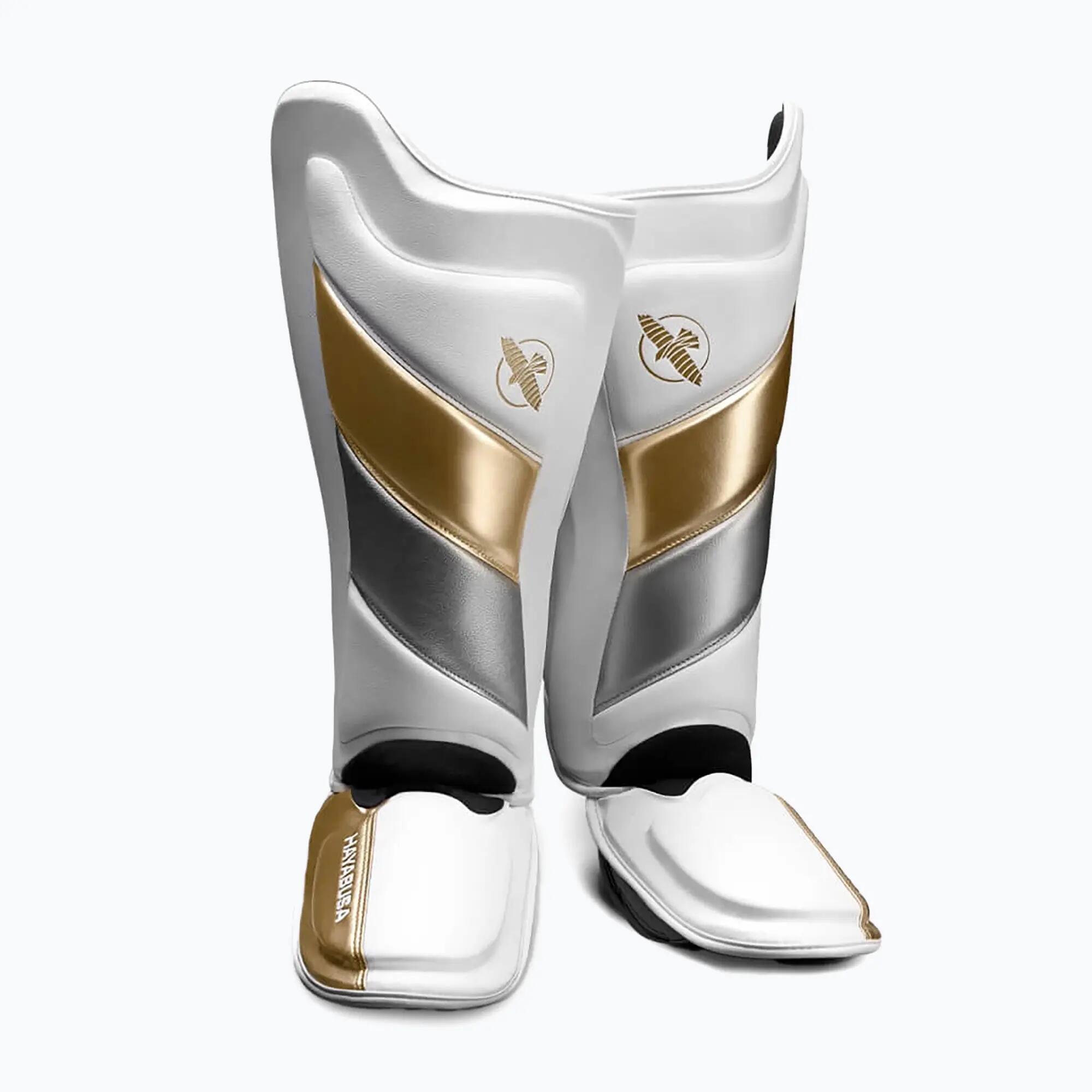 HAYABUSA picture