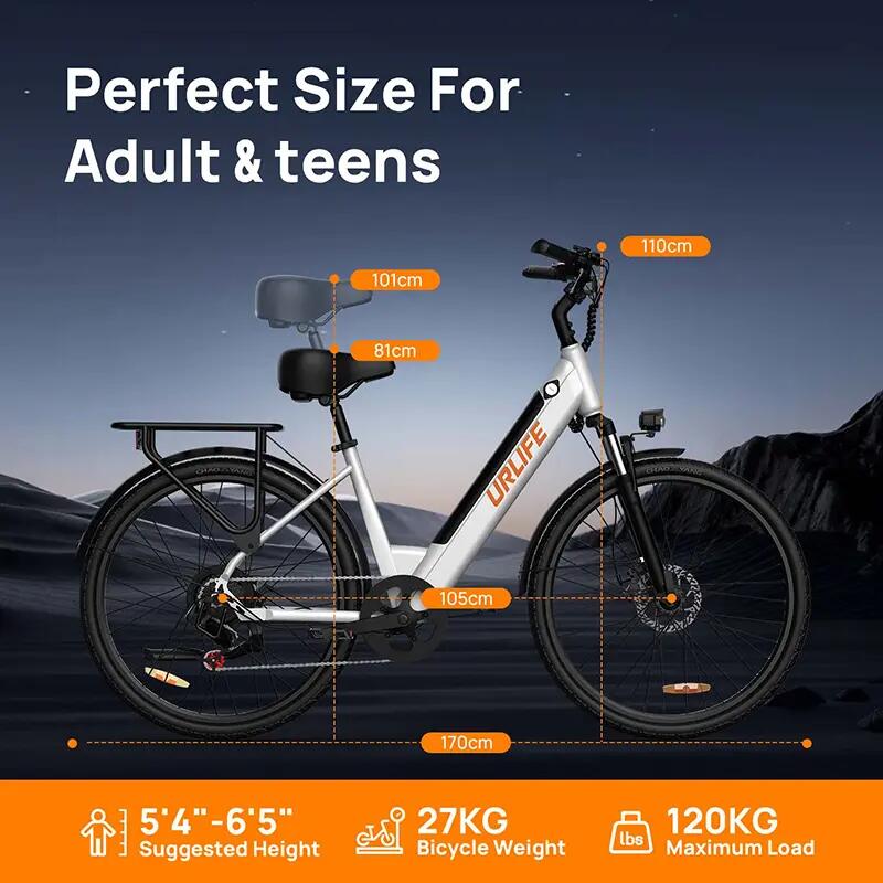 Bicicleta elétrica para adultos URLIFE E26 motor 250W bateria 48V 10.4Ah 12/13