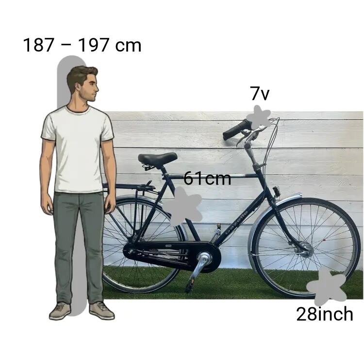 Bicicletta usata Gazelle Impala 2/4