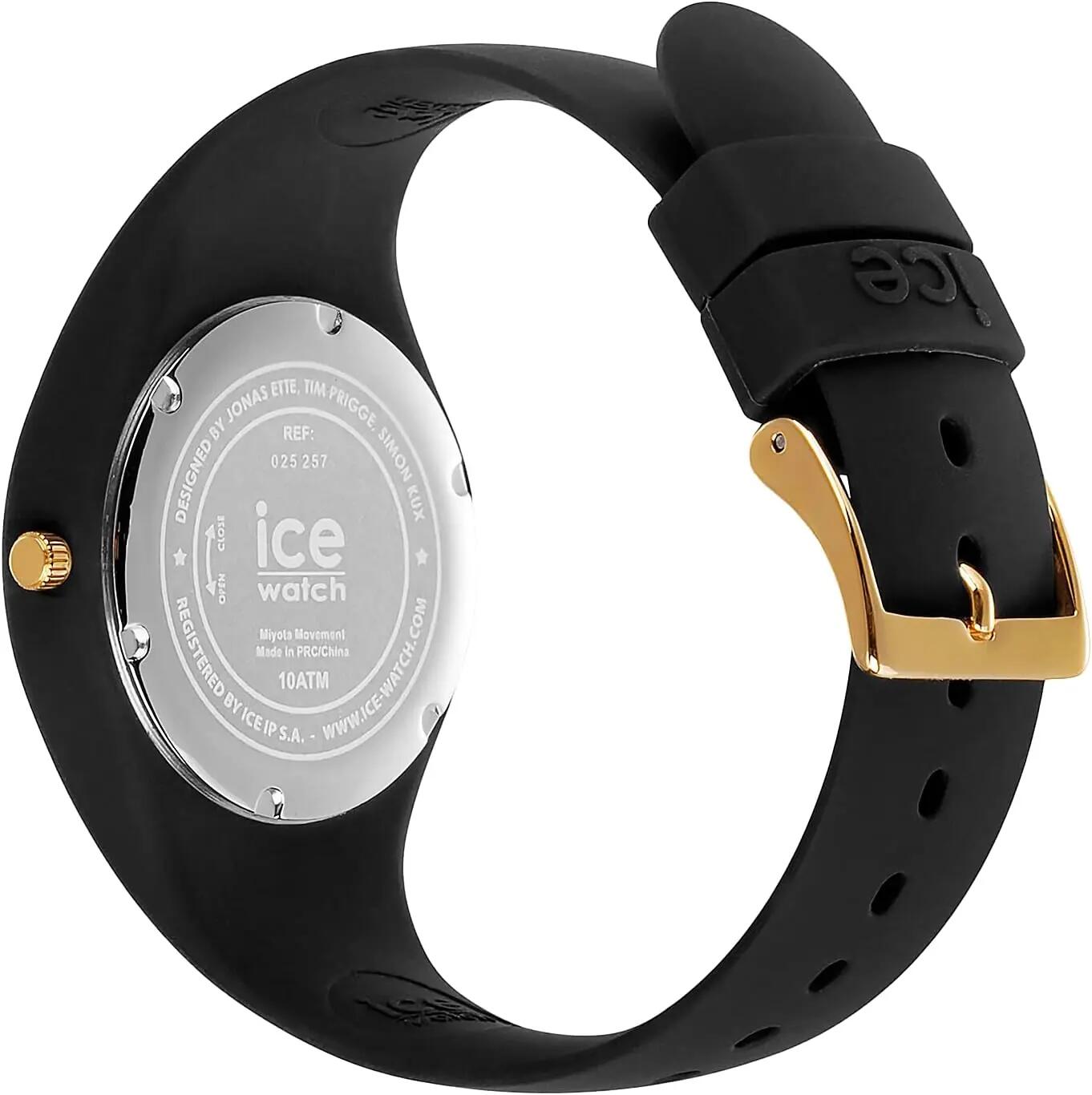 Ice Watch Analoog  Horloge Zwart/Zwart 025257 3/4