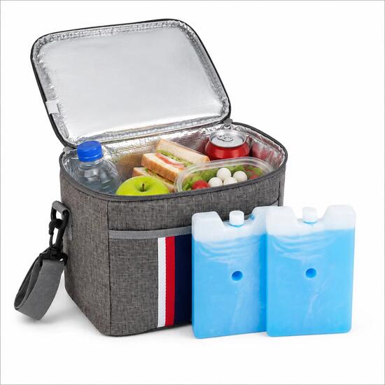 Sac Isotherme 25x18x20cm - M - Avec 2 Accumulateurs de Froid