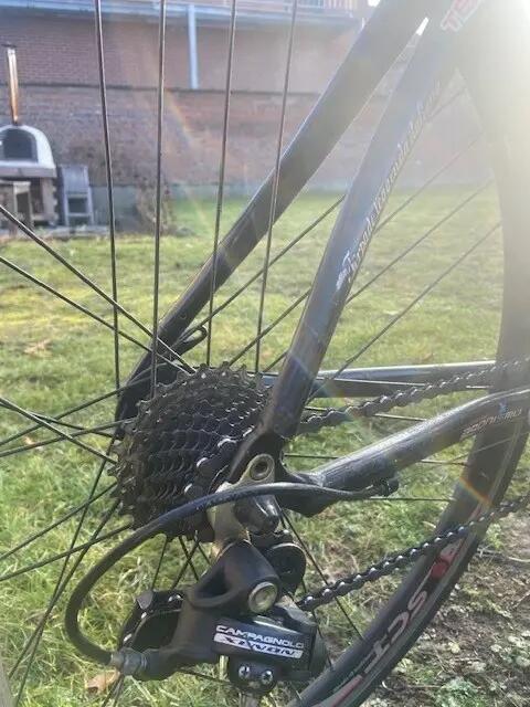 Tussen Particulieren - koersfiets size 48 7/7