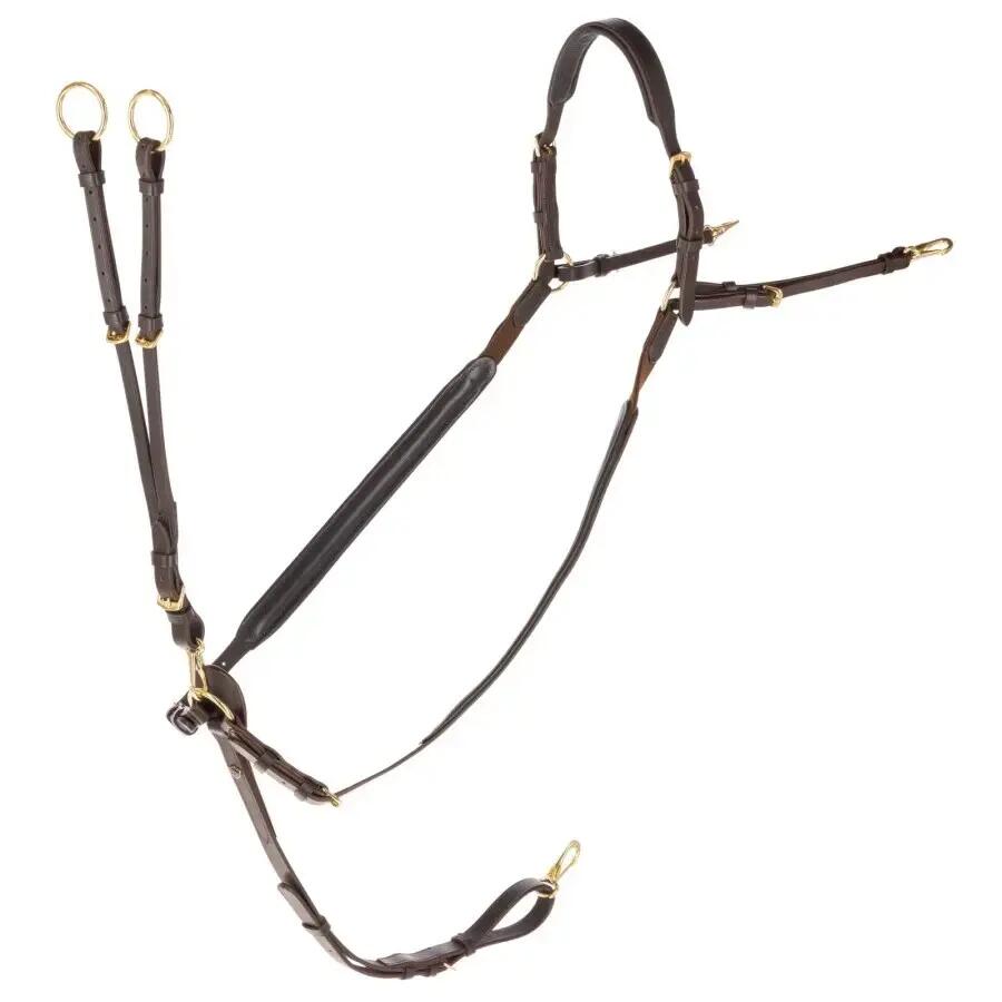 Martingale with rings Covalliero
