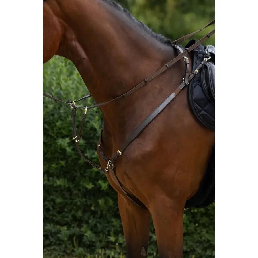 Martingale com anéis Covalliero 3/3