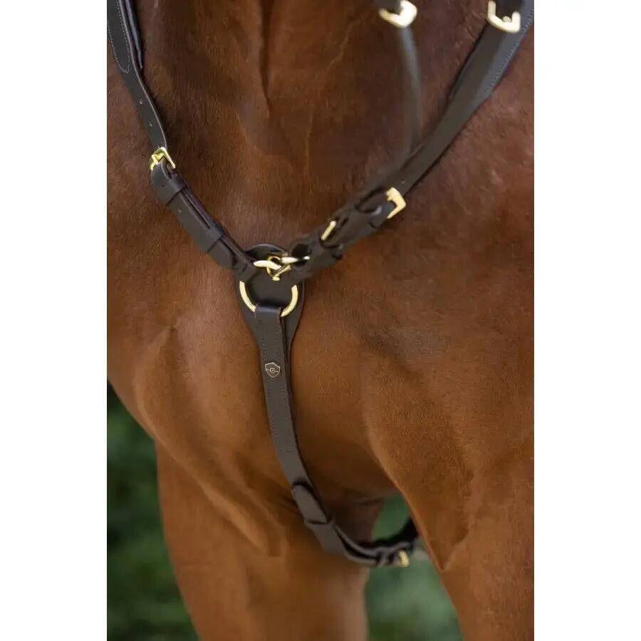 Martingale com anéis Covalliero 2/3