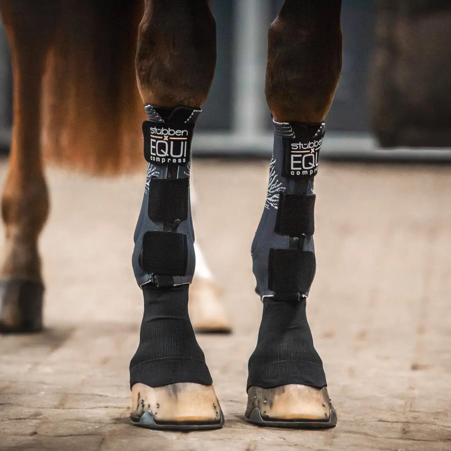 Guanti anteriori per cavallo con calze Stübben EQUI Compress 2/3