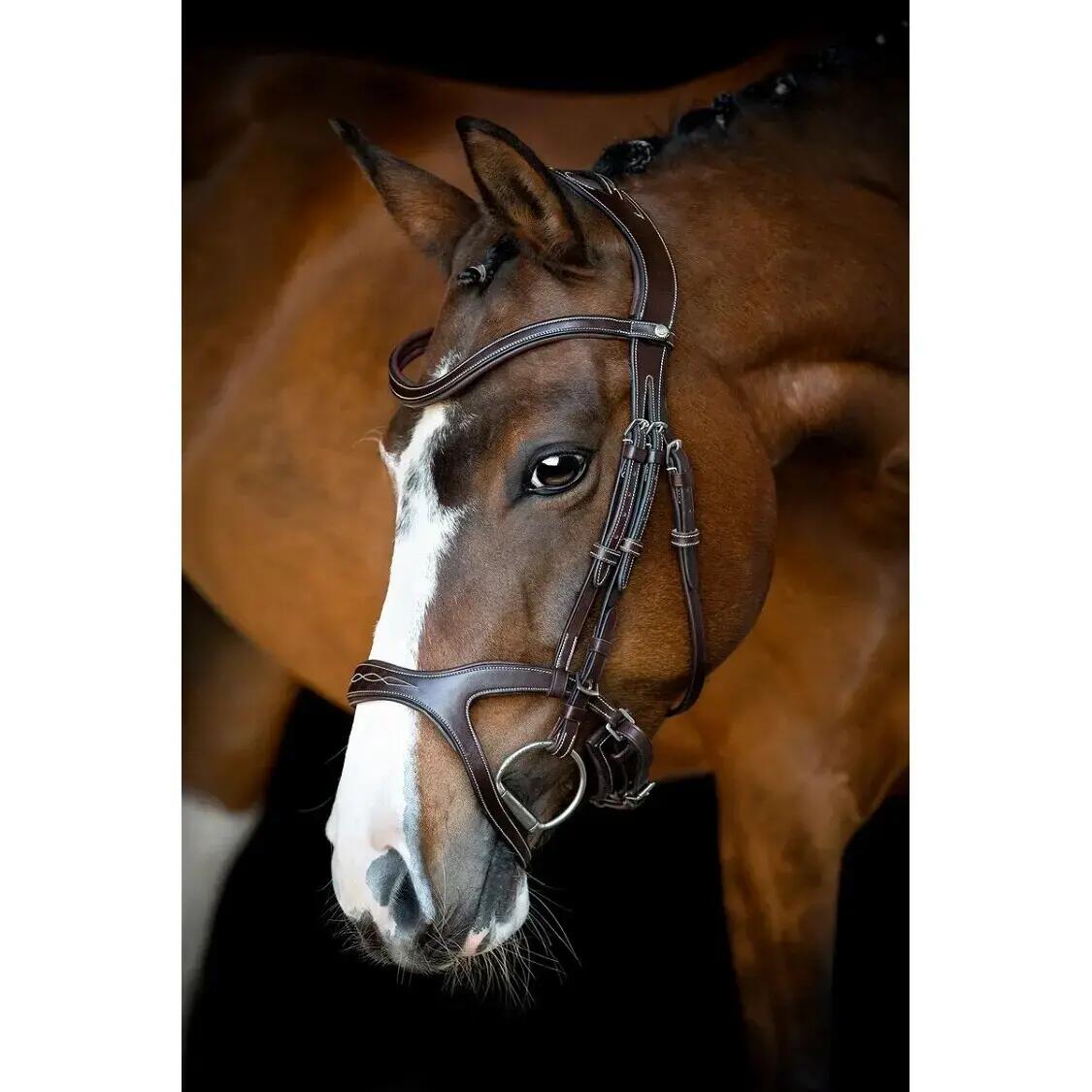 Briglie da equitazione in pelle vegana Montar Monarch Jumping ECO 3/5