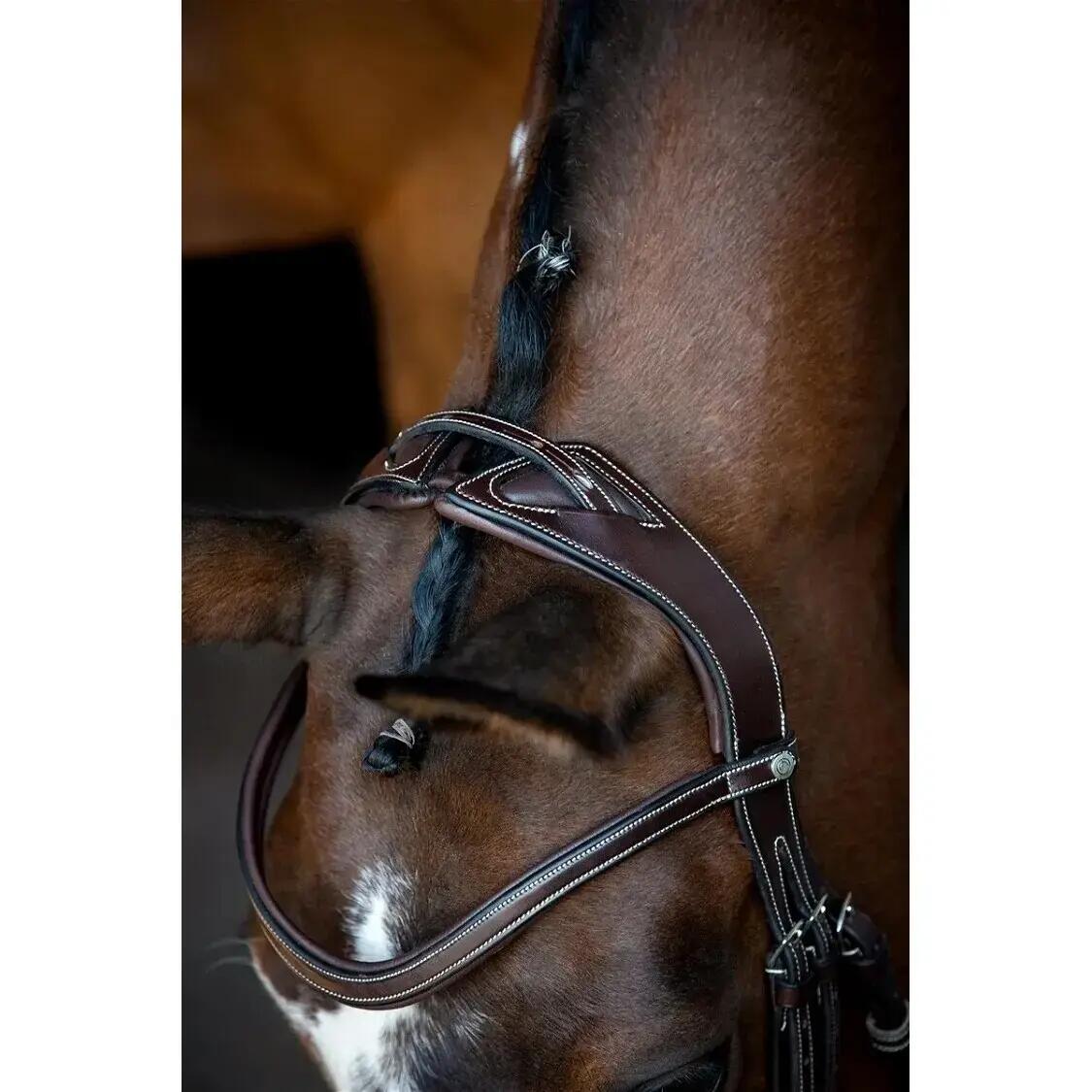 Briglie da equitazione in pelle vegana Montar Monarch Jumping ECO 2/5