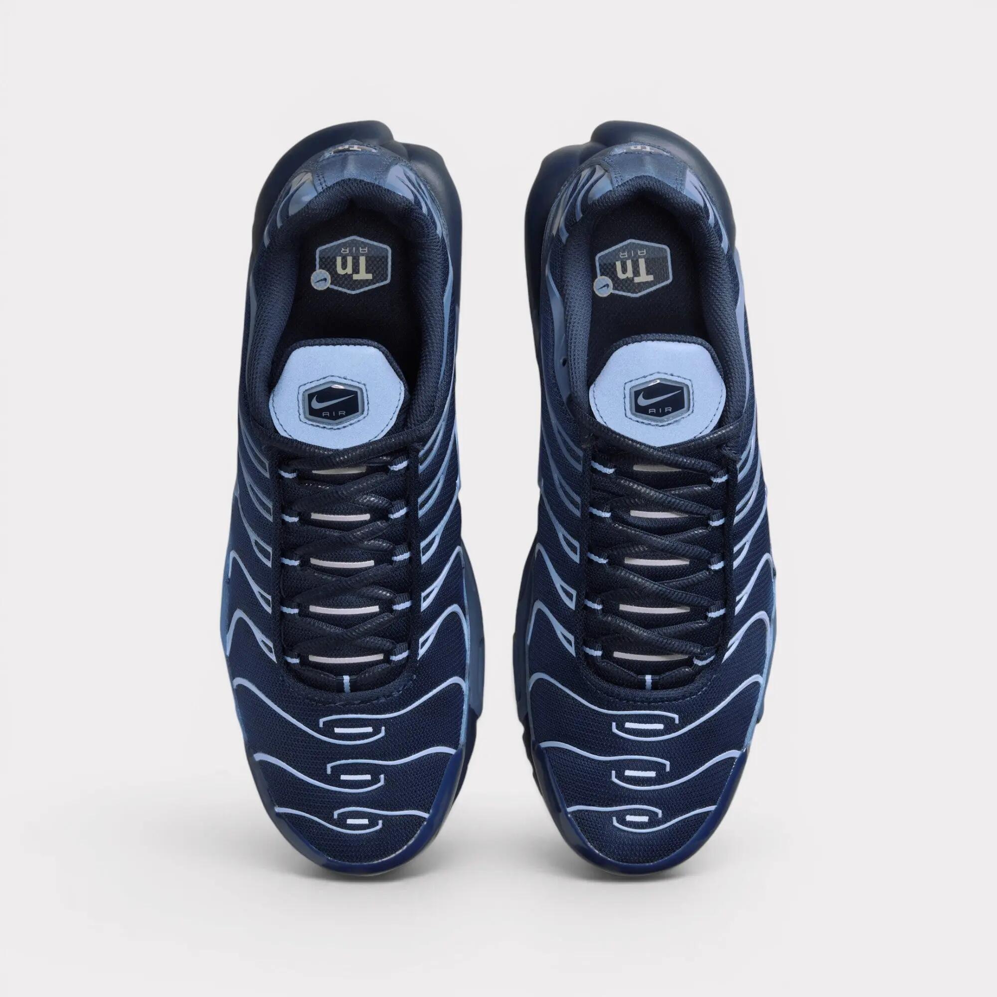 Nike Air Max Plus - Obsidian Aluminum 5/7