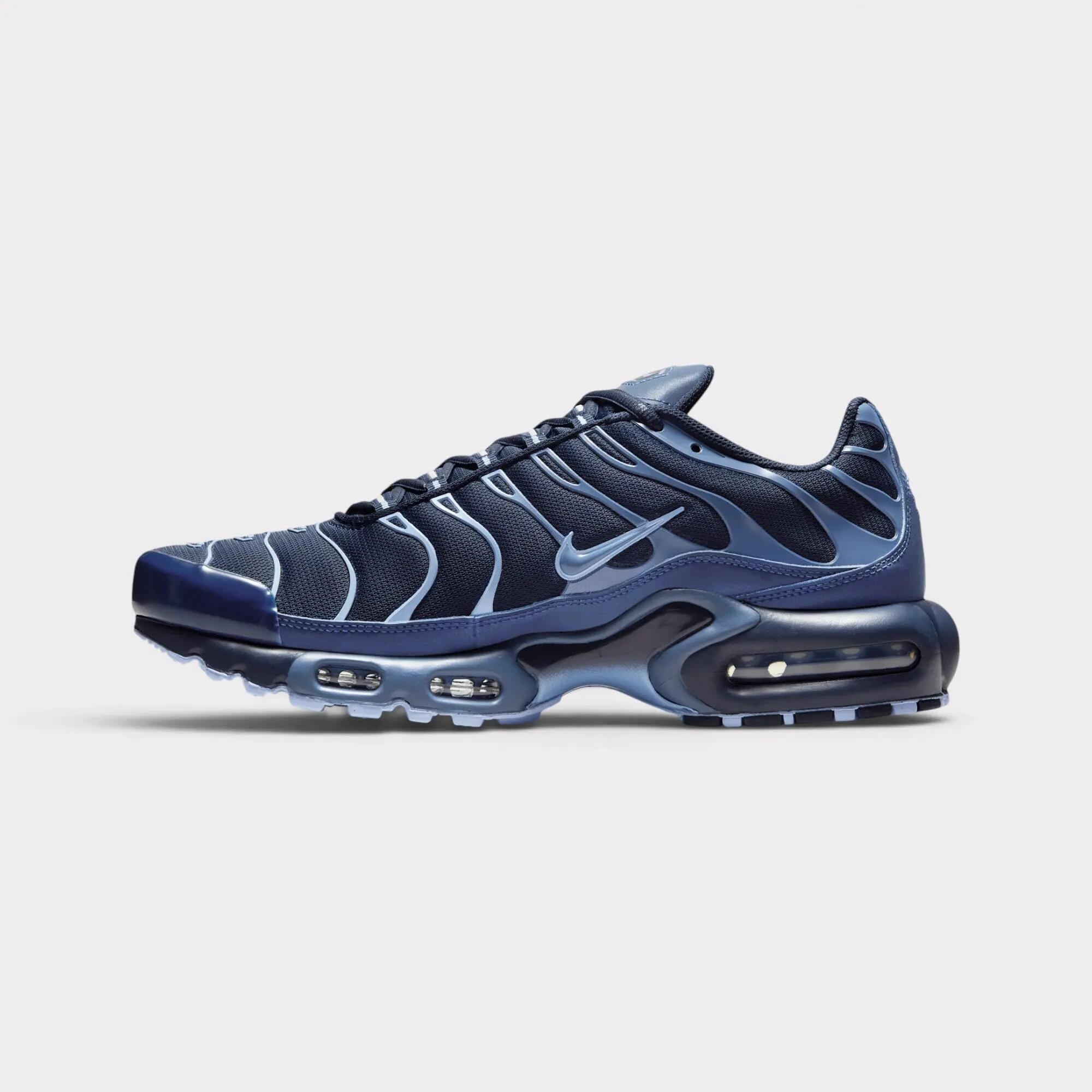 Nike Air Max Plus - Obsidian Aluminum 3/7