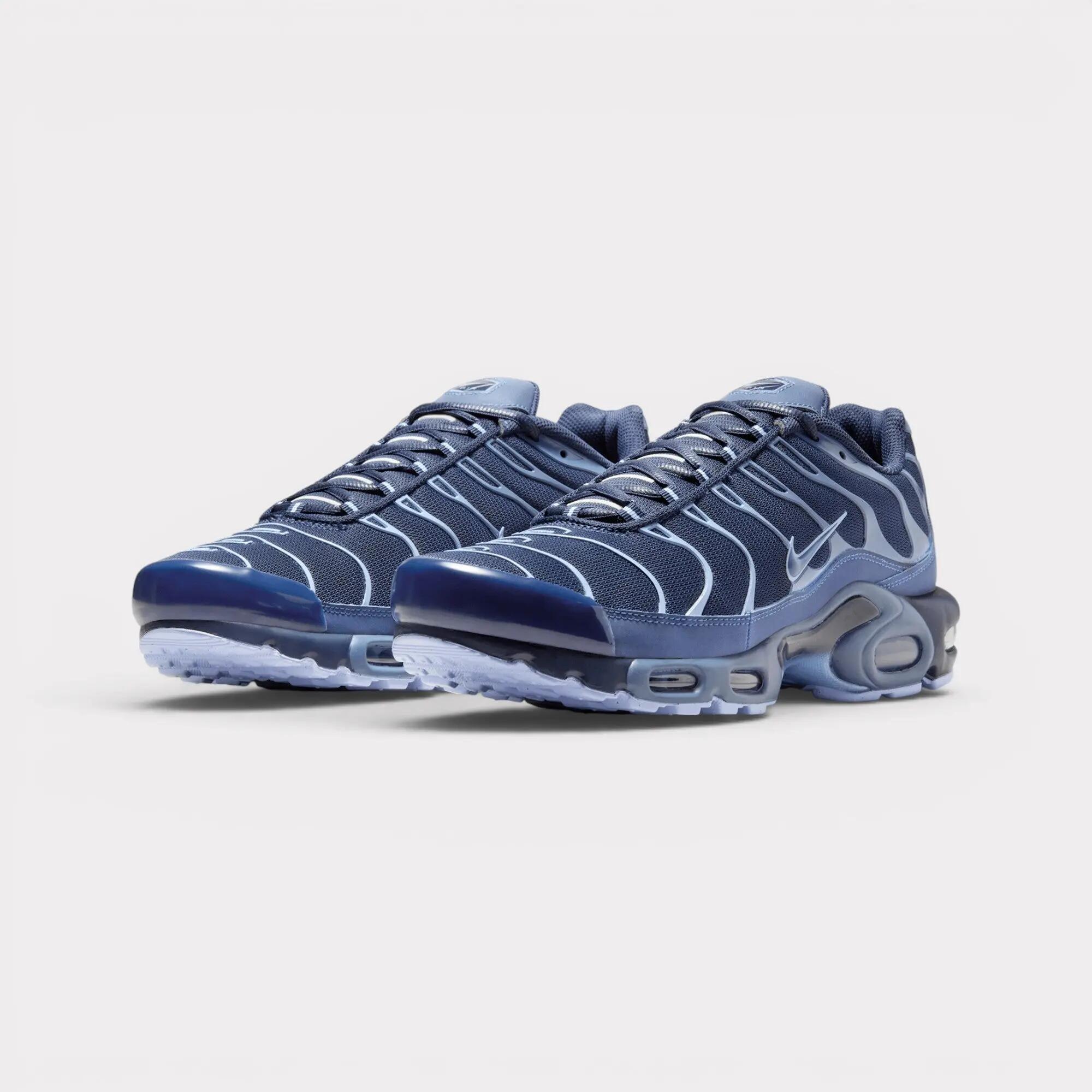 Nike Air Max Plus - Obsidian Aluminum 2/7