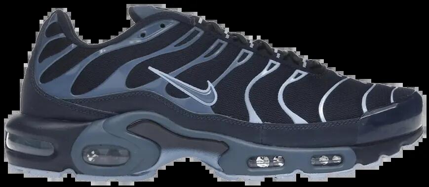 Nike Air Max Plus - Obsidian Aluminum 1/7