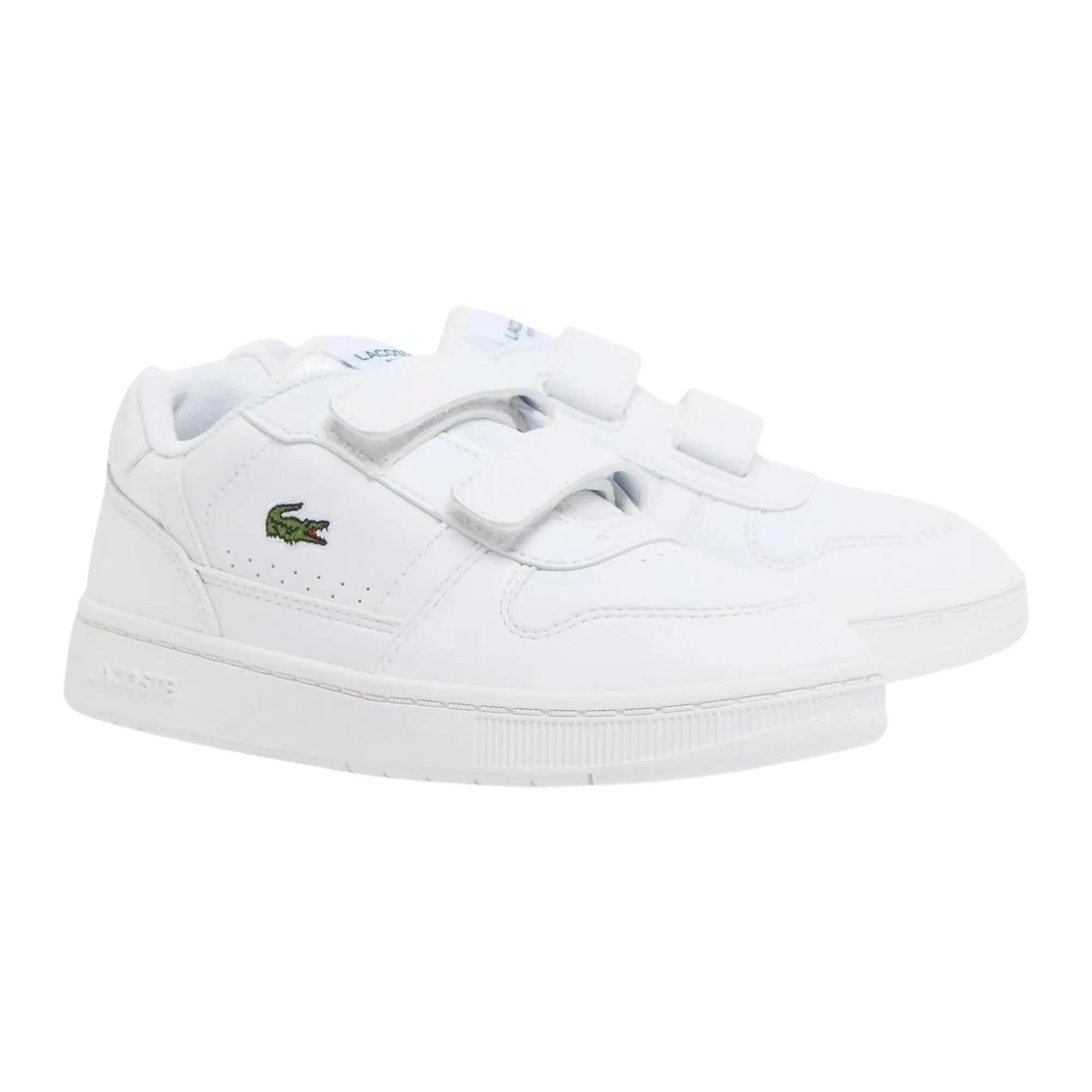 LACOSTE picture