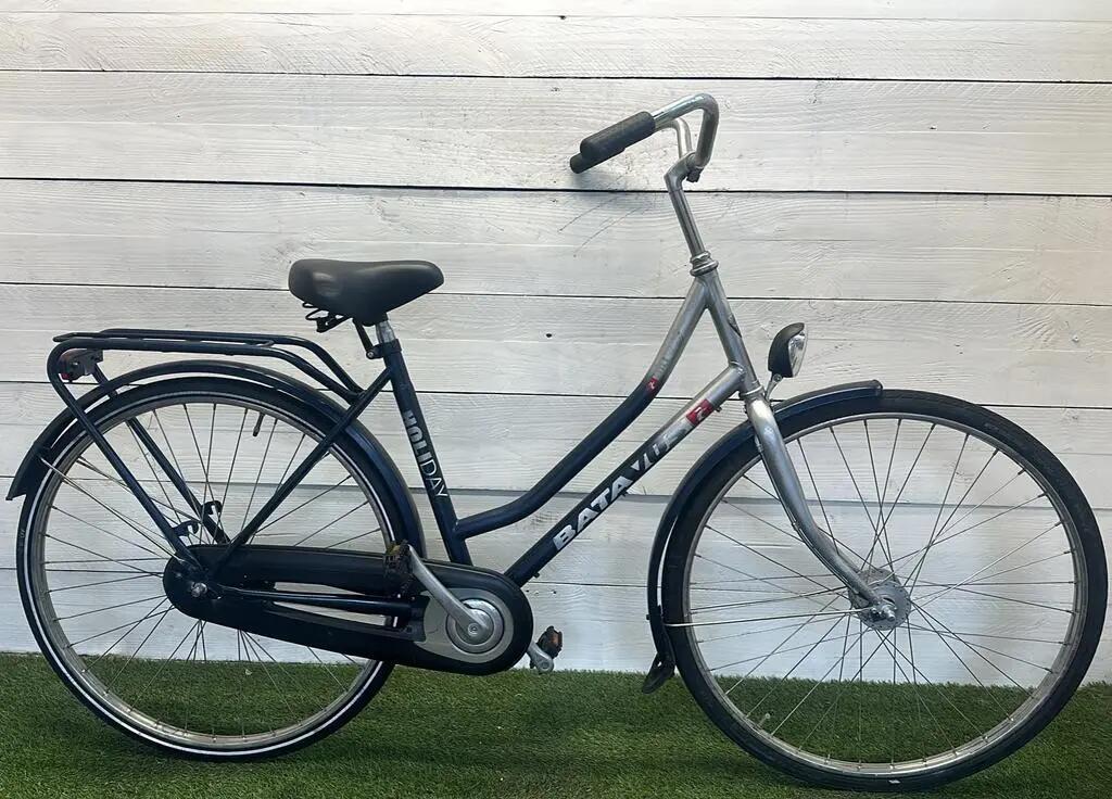 BATAVUS picture