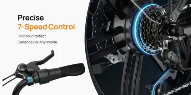 URLIFE T5 összecsukható elektromos kerékpár, nagy nyomatékú motorral 6/13