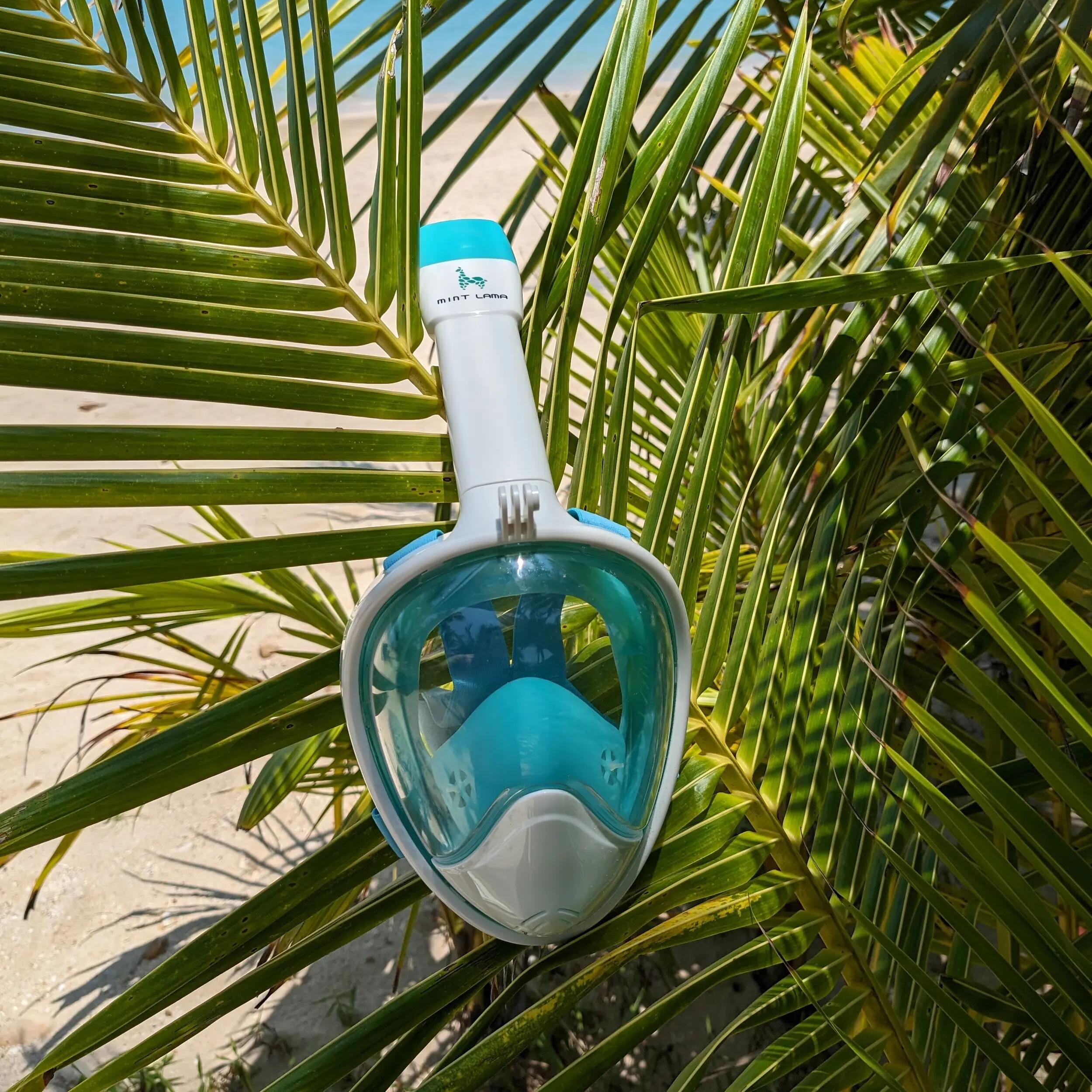 Maschera da snorkeling Freebreath in vetro tondo 3/4