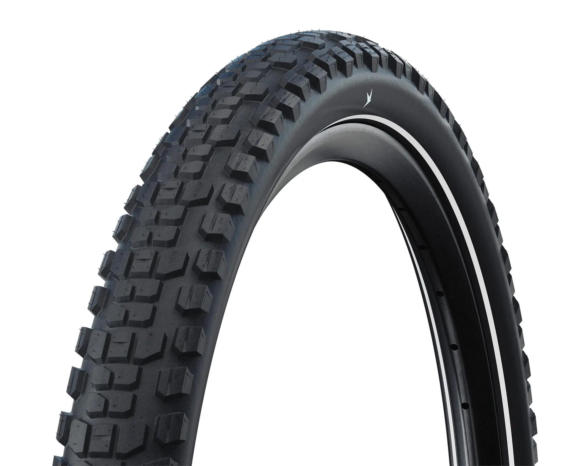 SCHWALBE picture