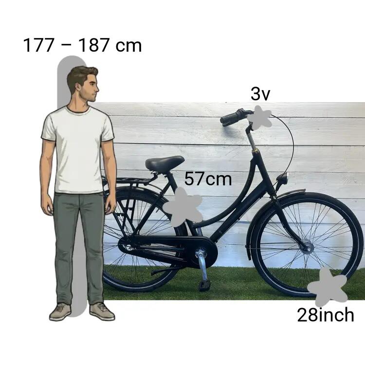 Bicicletta usata Batavus 2/4