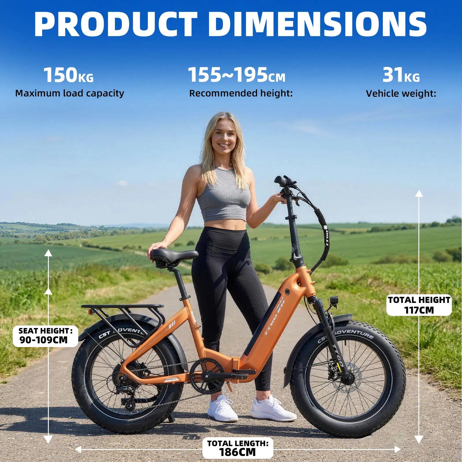 Elektrische fiets voor volwassenen TTGO F6 Boost batterij 48V18Ah motor 250W 11/15