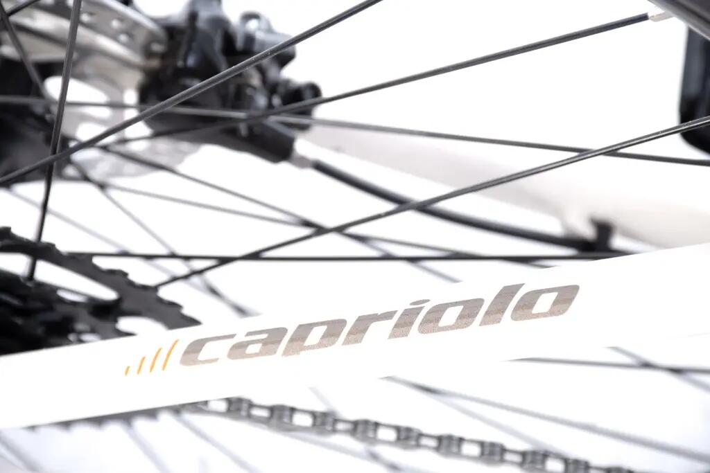 Capriolo MTB LC 29-4 29er kerékpár 21 Fehér 6/10