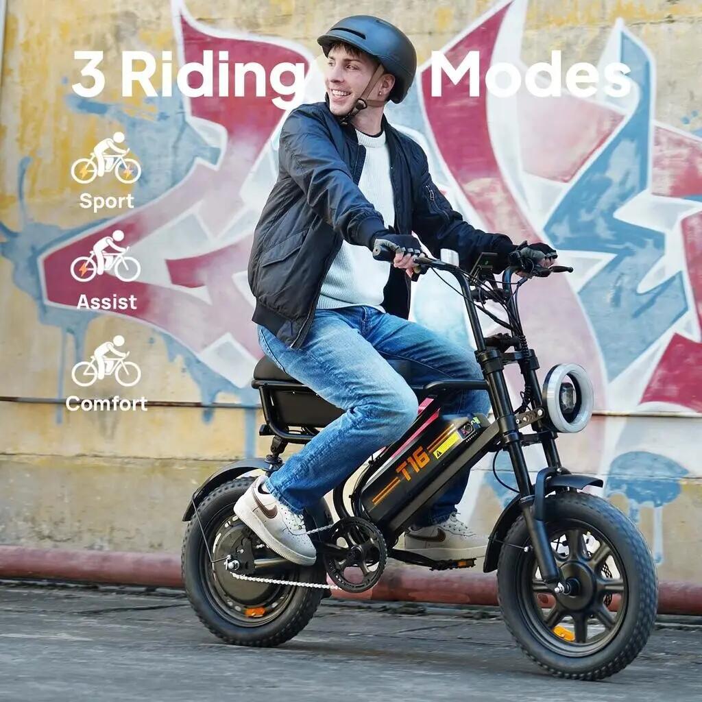 URLIFE T16 sokoldalú elektromos kerékpár, 1000 W csúcsteljesítményű motorral 5/13