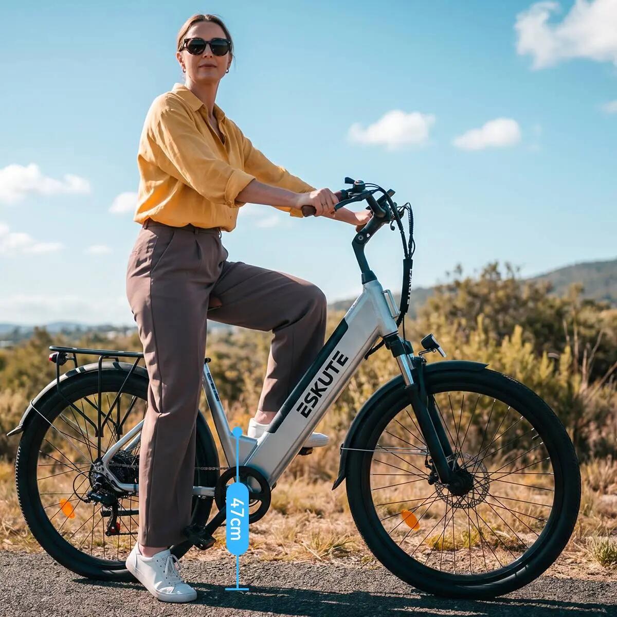 C100 PLUS elektrische fiets voor volwassenen, 26×2.1" band, 36V13Ah accu. 3/9