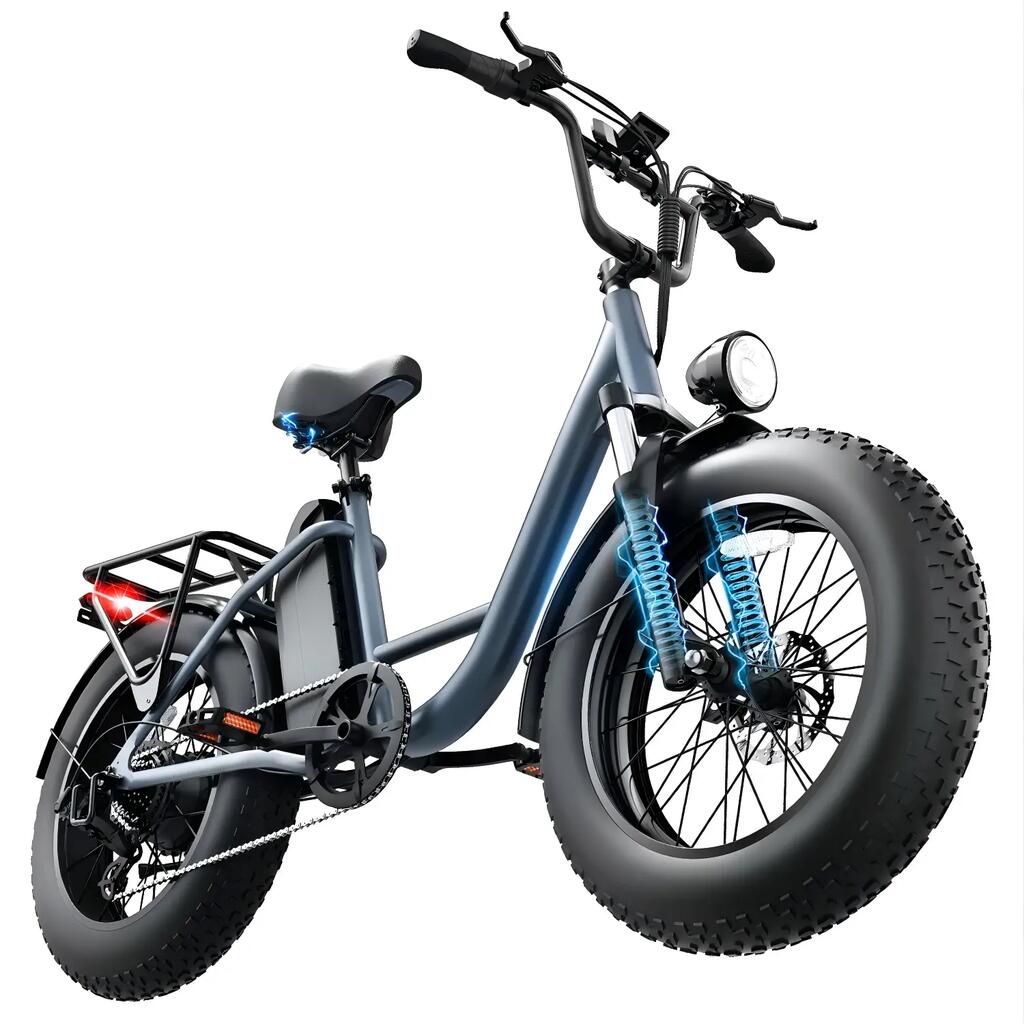 URLIFE E20Pro 20"x4 Fat-Tire Electric Bike with Removable 48V 15.6Ah Battery