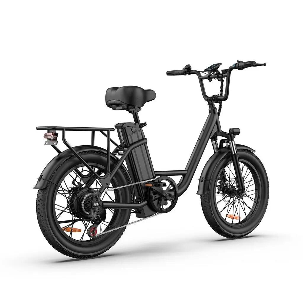 URLIFE E20 sokoldalú elektromos kerékpár, 1000 W csúcsteljesítményű motorral 4/11