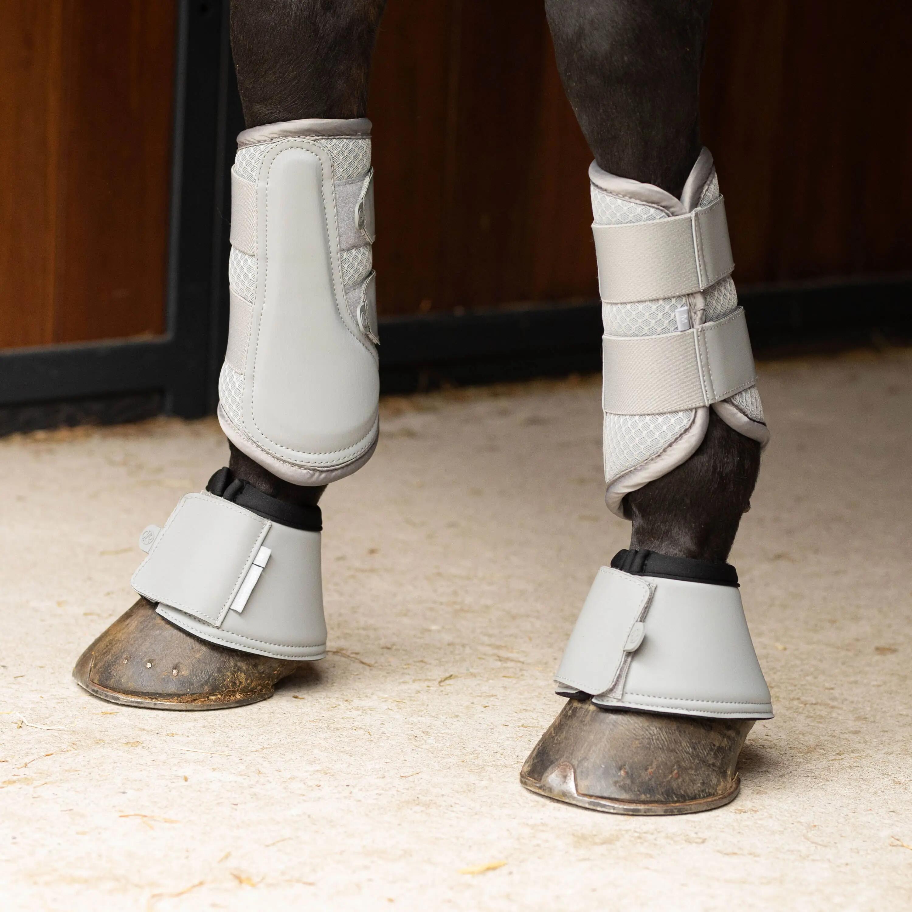 HARRYS HORSE picture