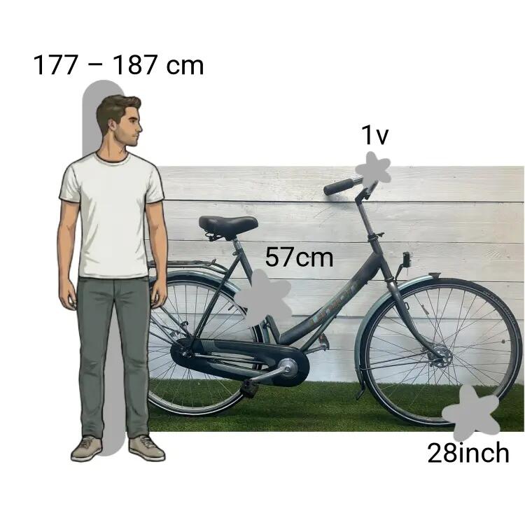 Bicicleta usada Union 2/4